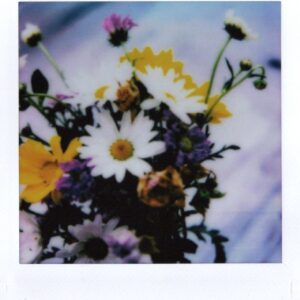 Morning Flowers, 2025