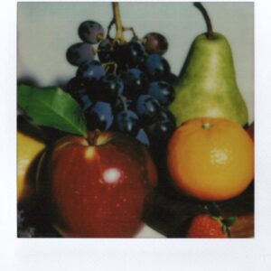 Still Life, 2025