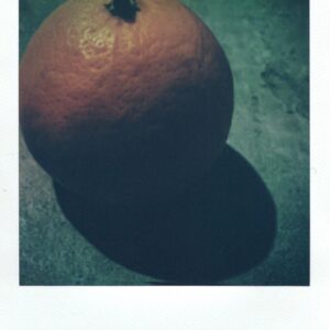 The Last Mandarin, 2022